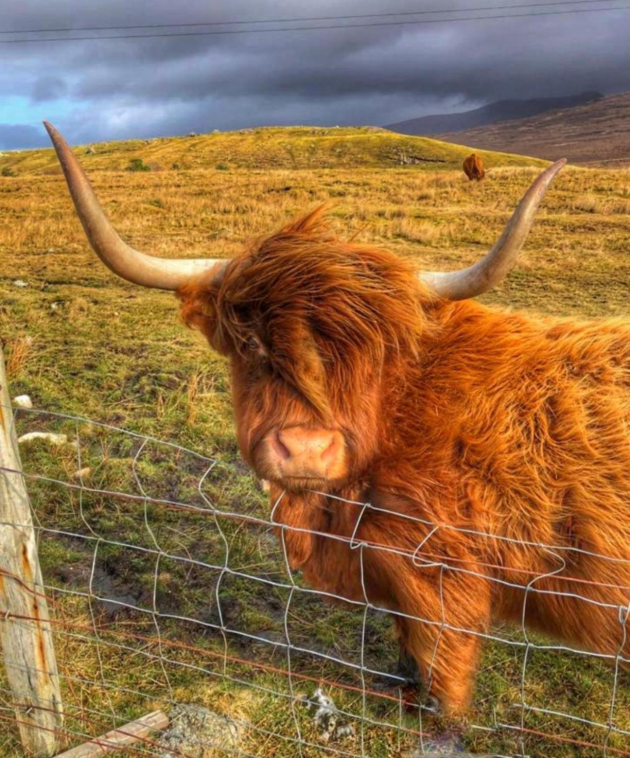 Roam West Otel Fort William Dış mekan fotoğraf