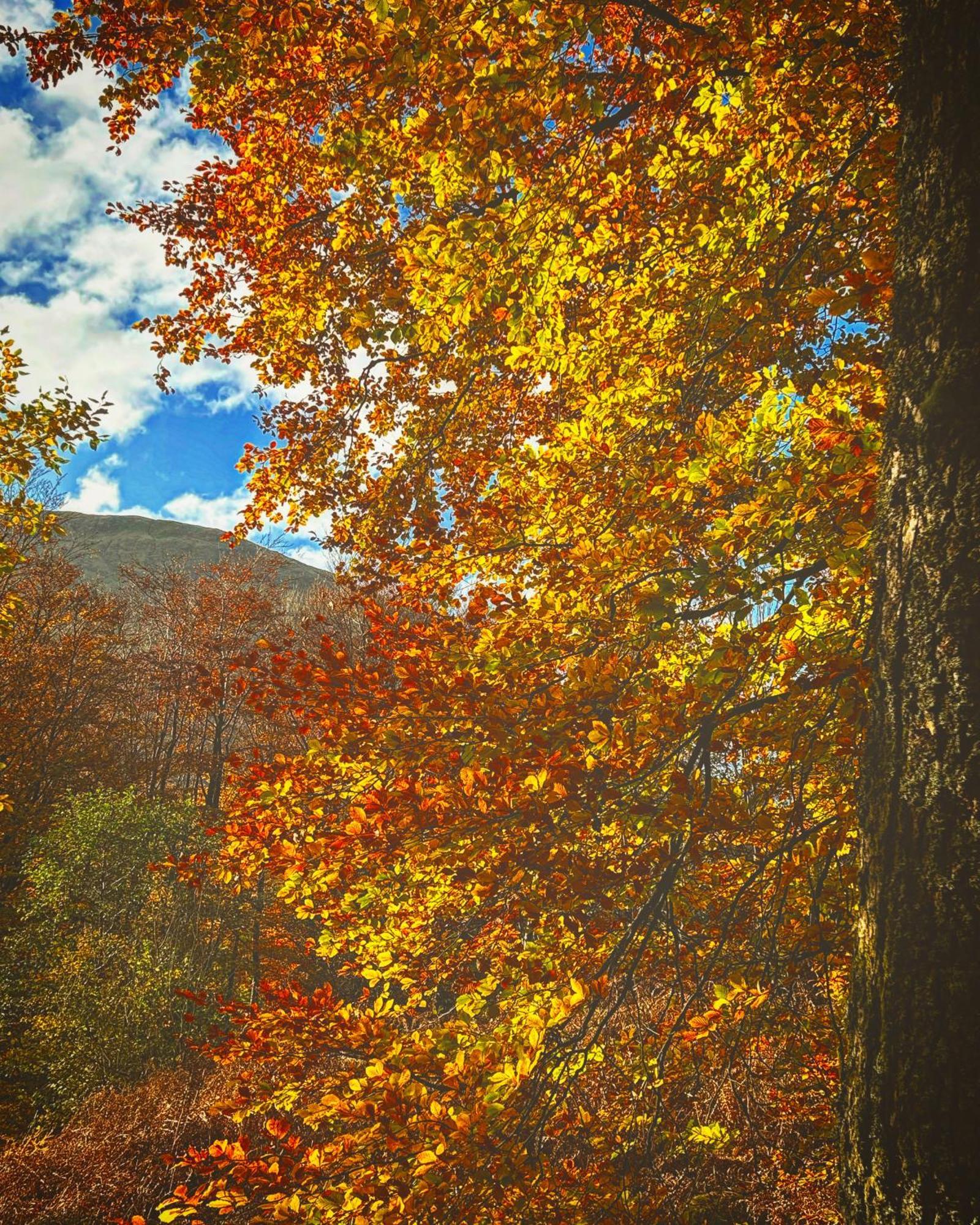 Roam West Otel Fort William Dış mekan fotoğraf