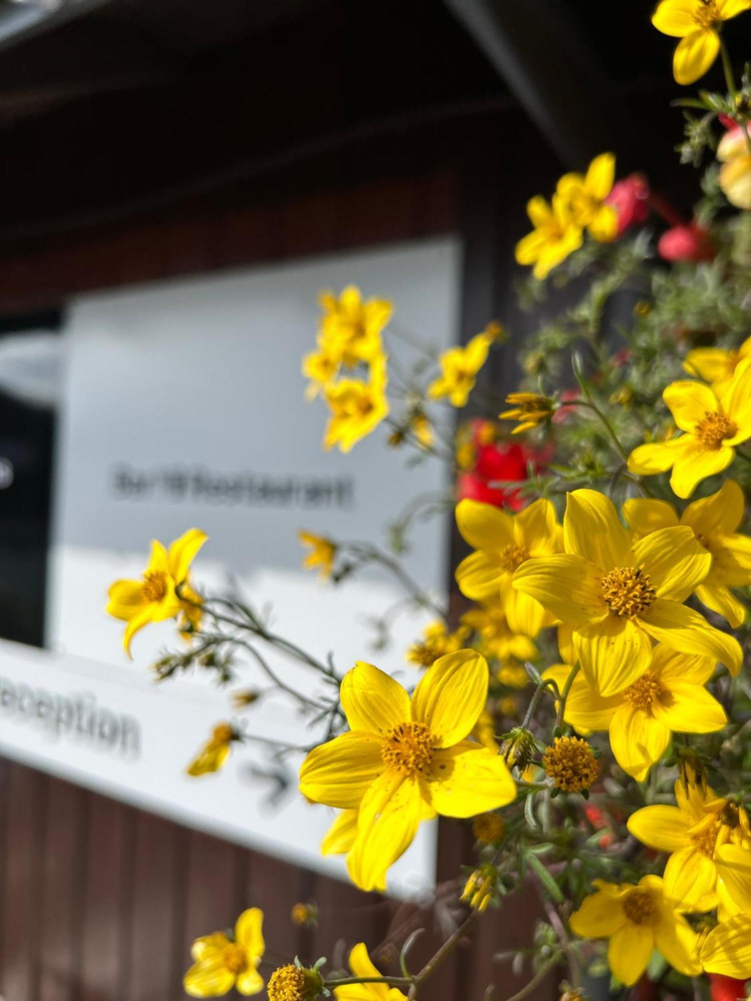 Roam West Otel Fort William Dış mekan fotoğraf